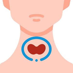 Thyroid