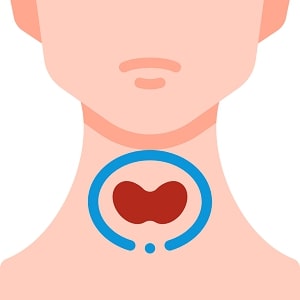 Thyroid